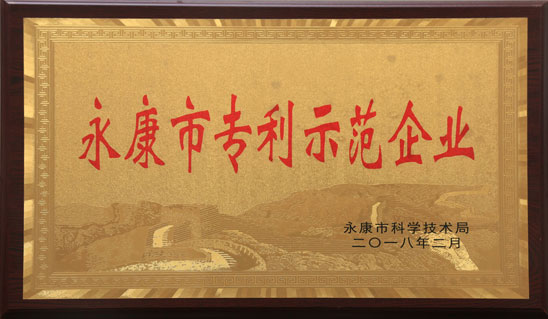 永康市专利示范企业